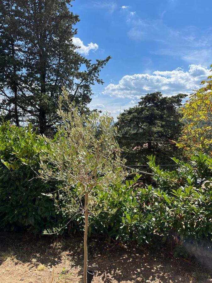 Casa Lastri Poppi Buitenkant foto