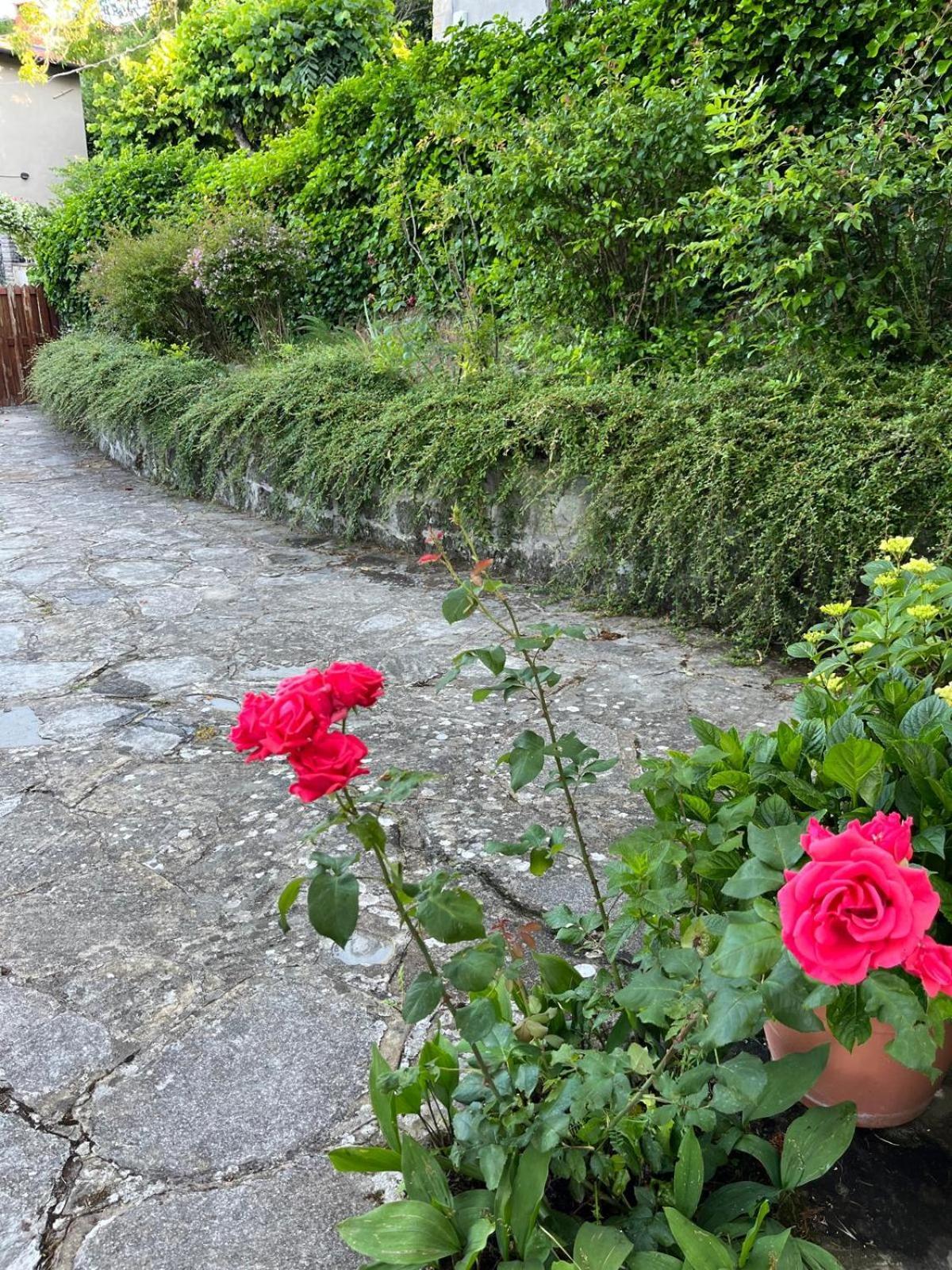 Casa Lastri Poppi Buitenkant foto
